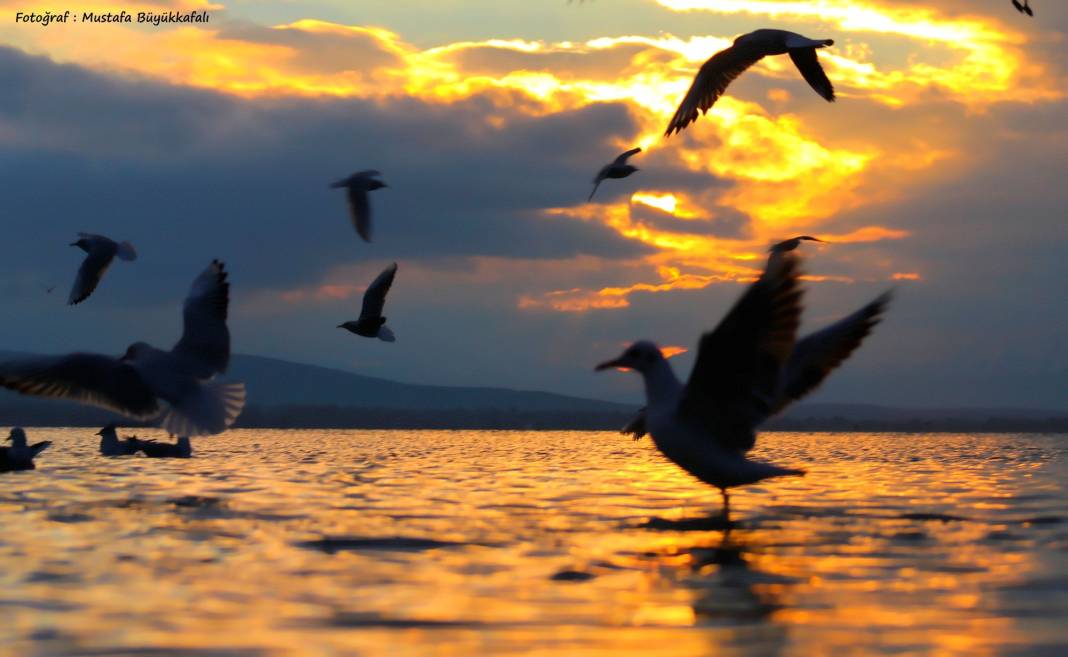 Beyşehir’de gezilecek yerler nelerdir? 12